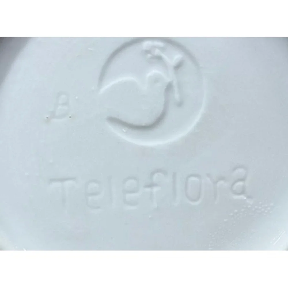 Teleflora Blue White Windmill Ceramic Canister Wire Bale Jar 5.5in Dutch Style